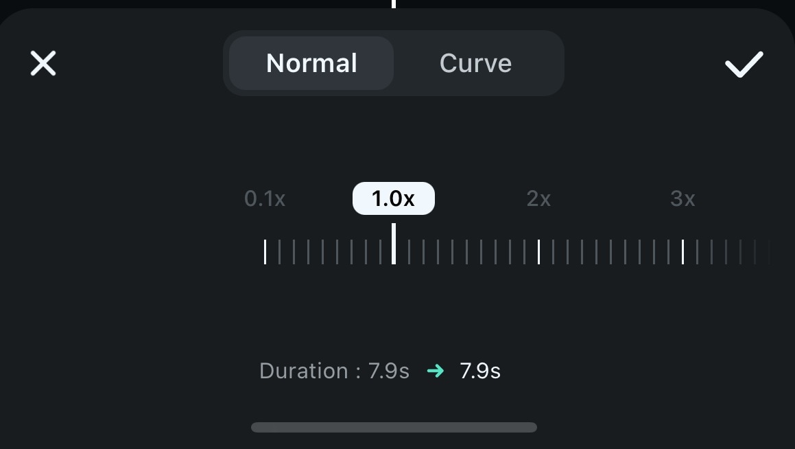 adjust video speed if needed