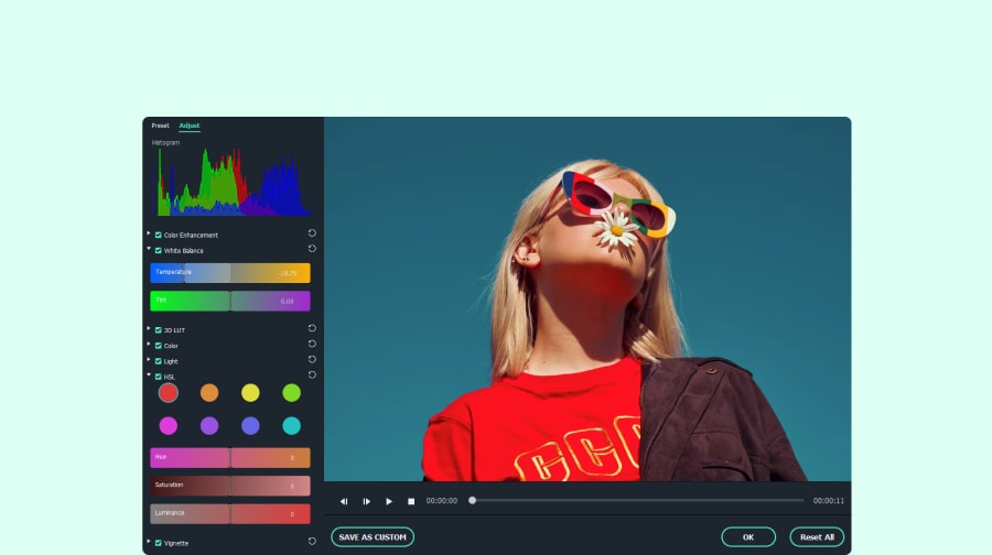 Video pic