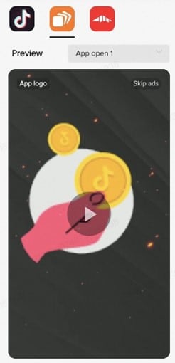 tiktok ads video for campaign